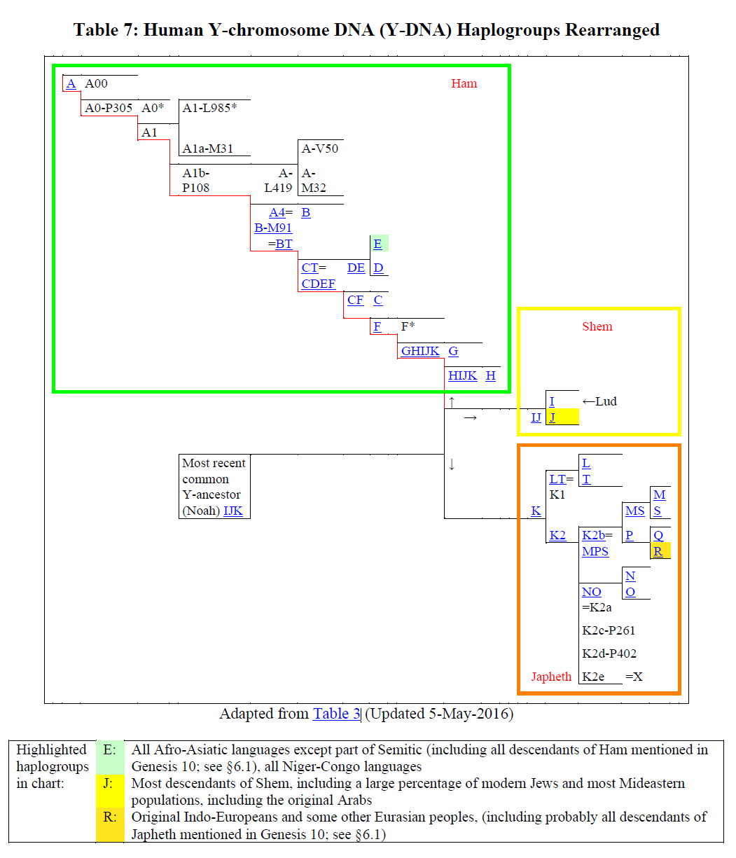 Y-chromosome haplogroups rearranged to show Noahic descendency