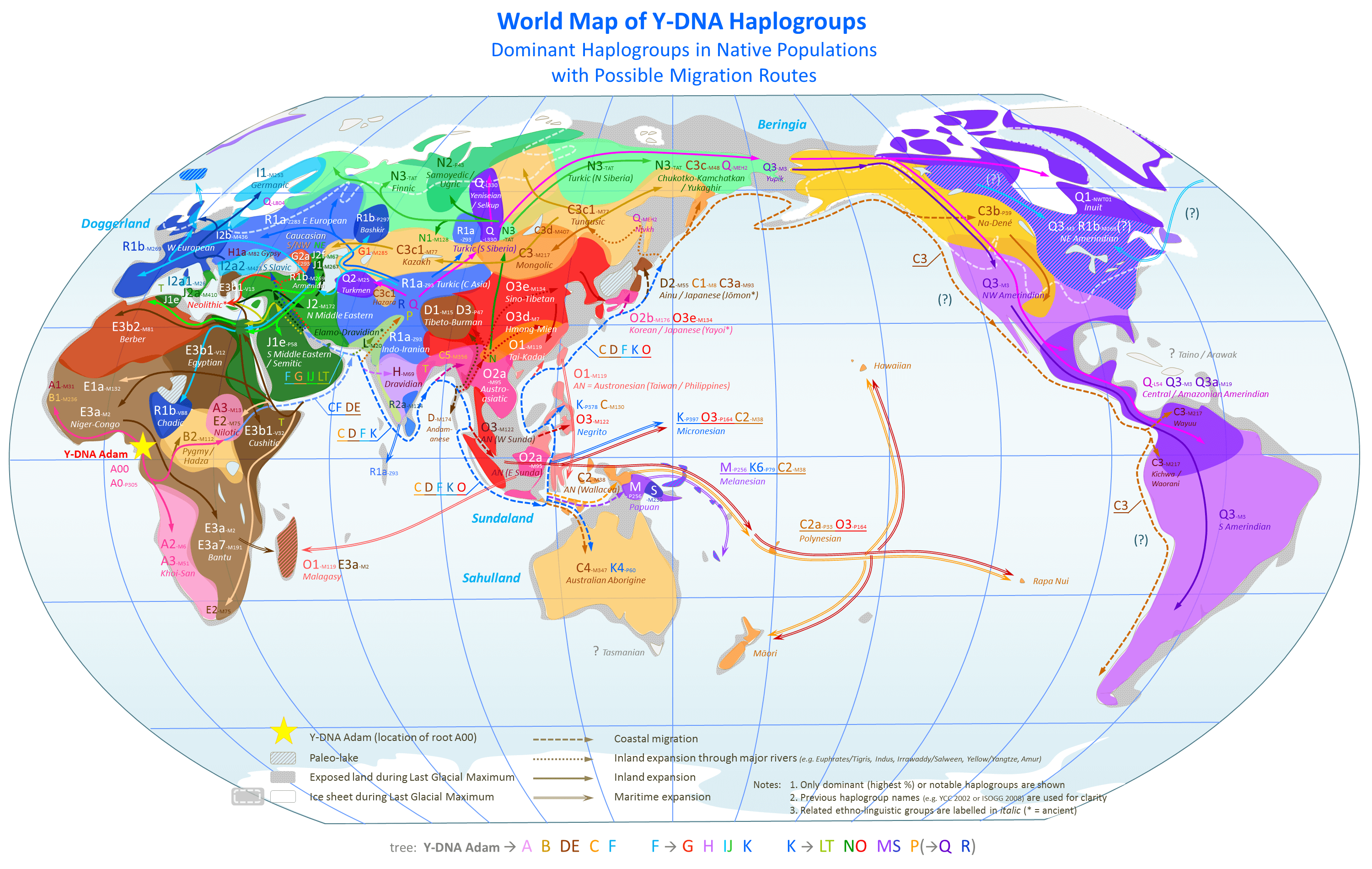 Map of the distribution of Y-chromosome DNA haplogroups by trace markers
